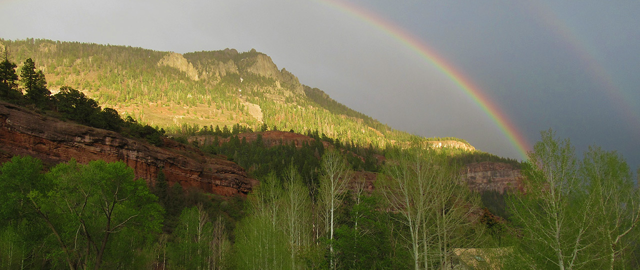 Local View - Ouray, CO